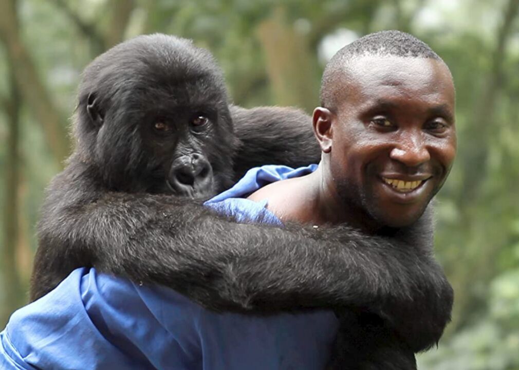 #5. Virunga (2014)